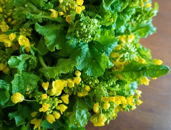 ORGANIC NETWORKとの連携