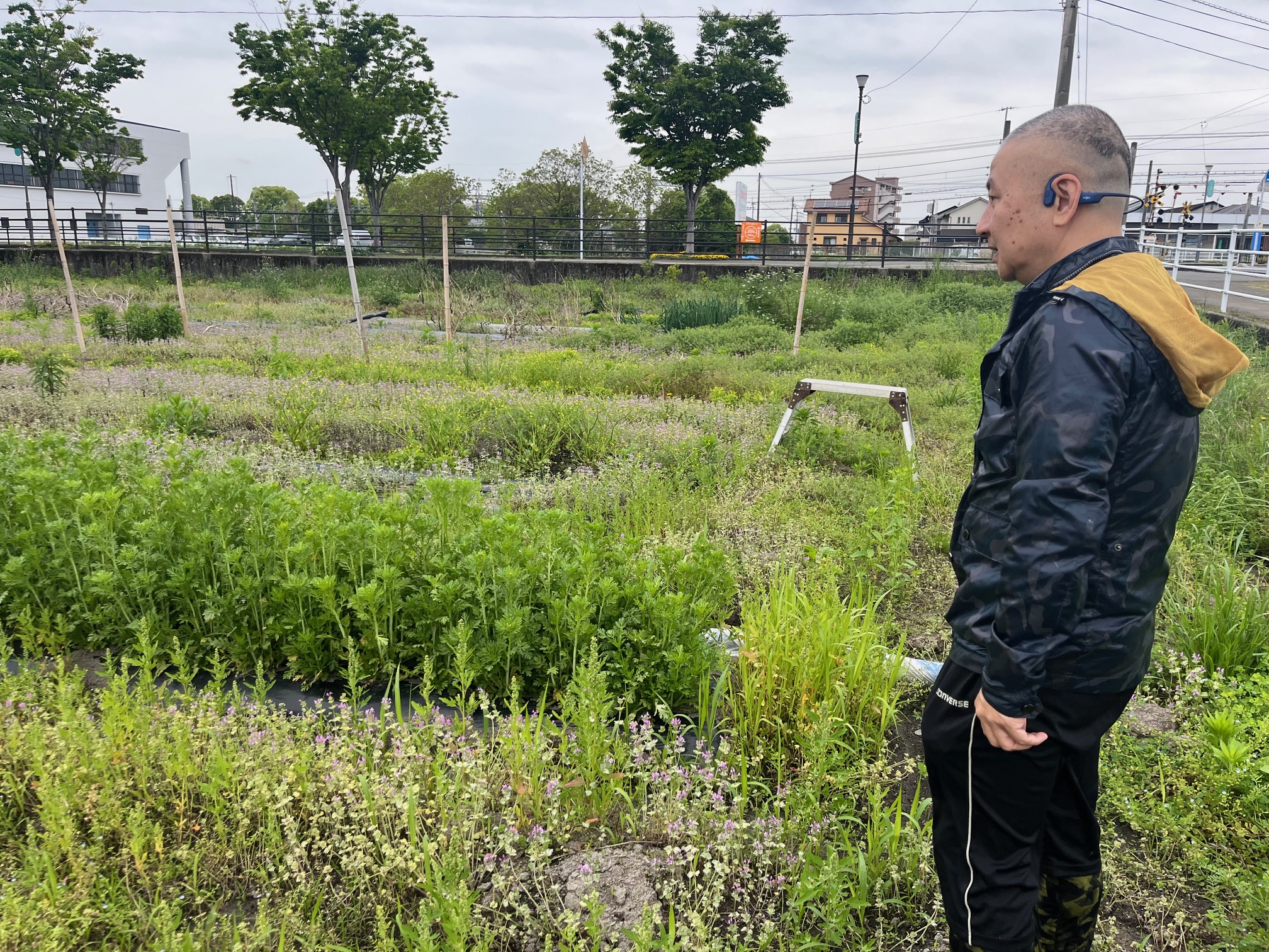 農業は、いつから石油なしで成り立たなくなったのか