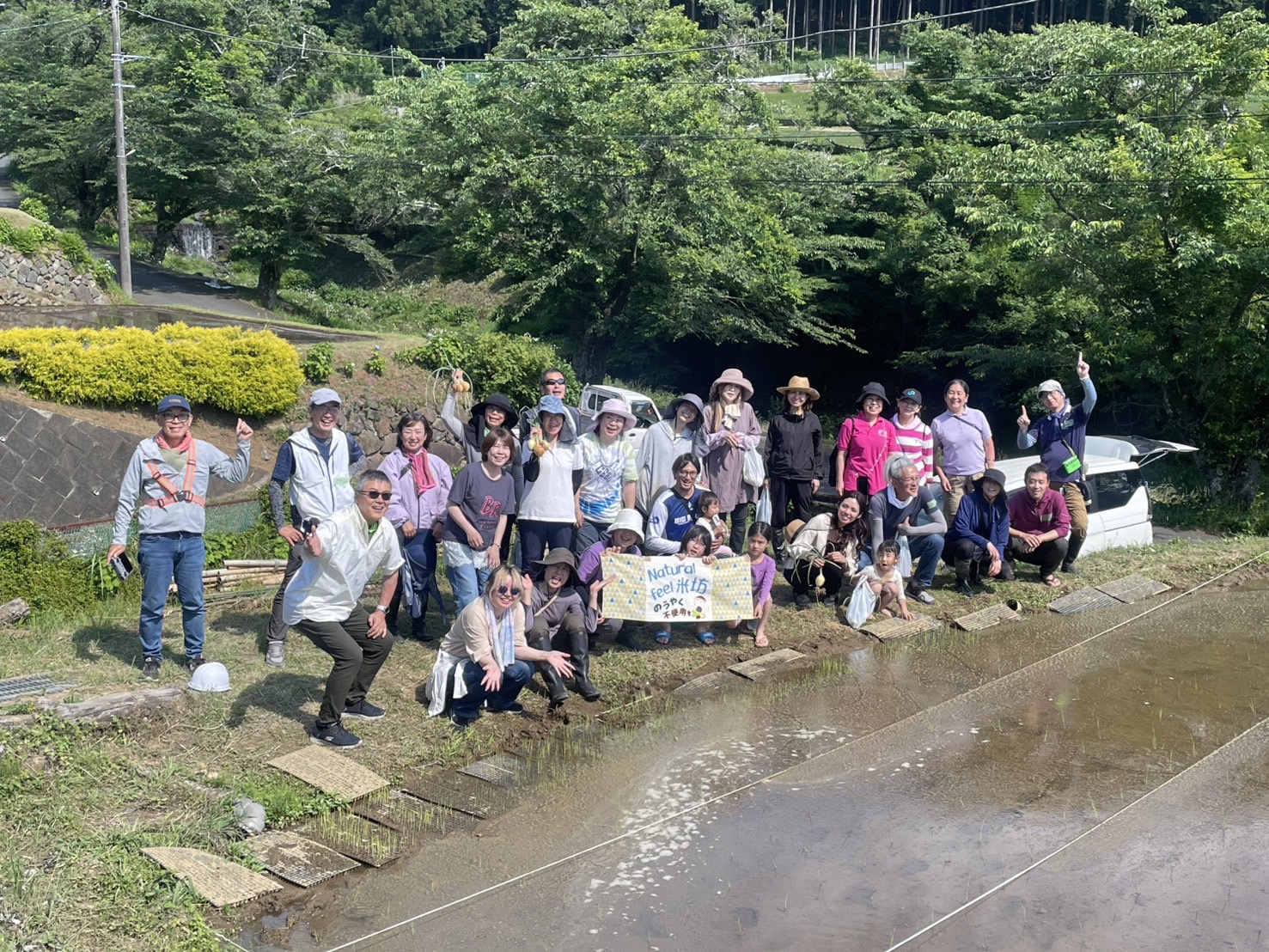 田んぼが草に埋もれていく！？ いま日本の農業に起きていること